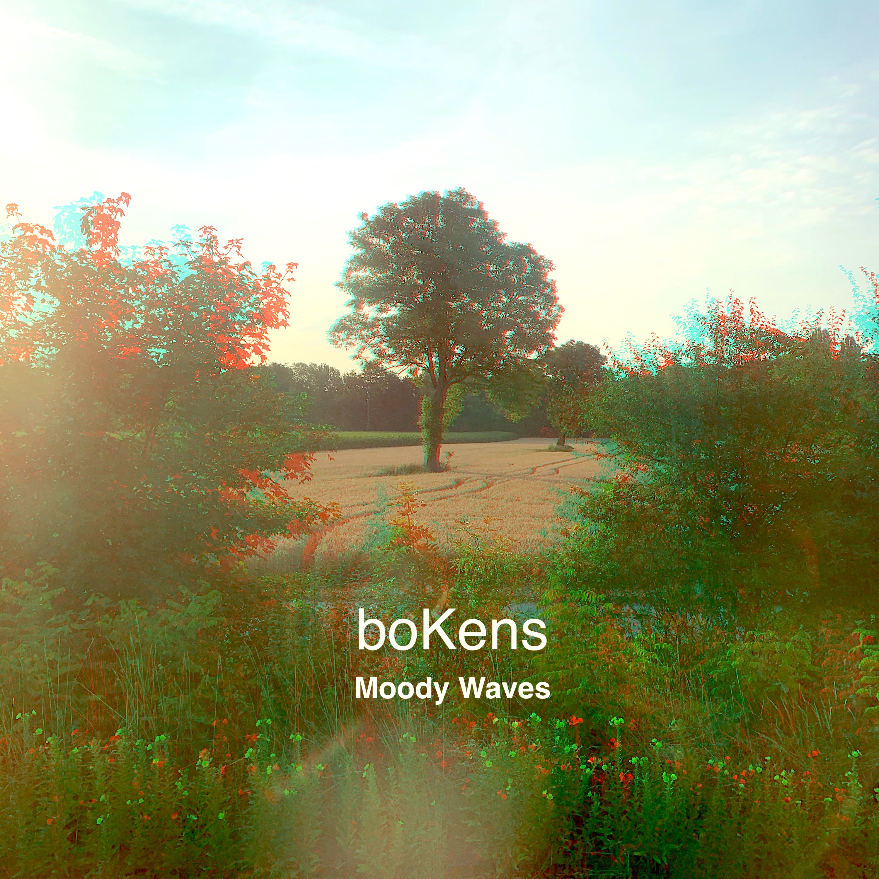 Cover MOODY WAVES 2019